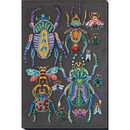 Abris Art - Beetles