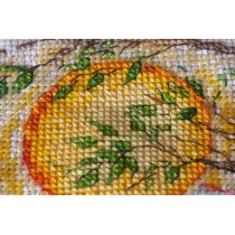 Abris Art - Color magic