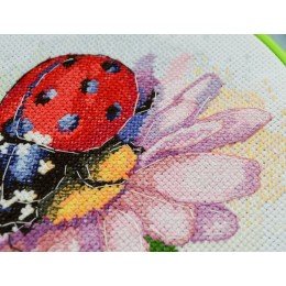 Abris Art - Sunny Bedryk