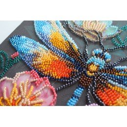 Abris Art - Alas parpadeantes