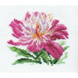 Alisa - Pink peony