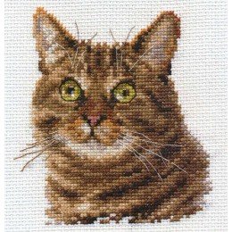 Alisa - Cat's eyes