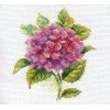 Alisa - Hortensia