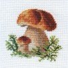 Alisa - White mushrooms