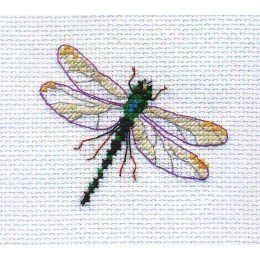 Alisa - Dragonfly
