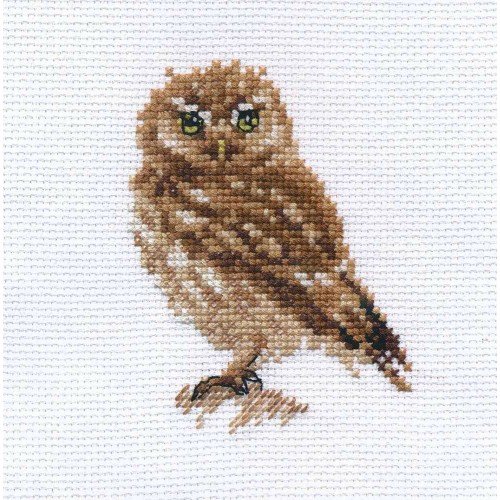 Alisa - Owl