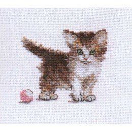Alisa - Little kitten