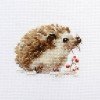 Alisa - Hedgehog