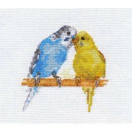 Alisa - Parrots