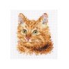Alisa - Animal portraits. Ginger cat
