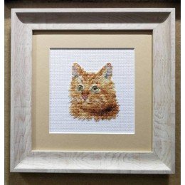 Alisa - Animal portraits. Ginger cat