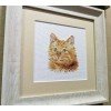 Alisa - Animal portraits. Ginger cat