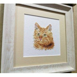 Alisa - Animal portraits. Ginger cat