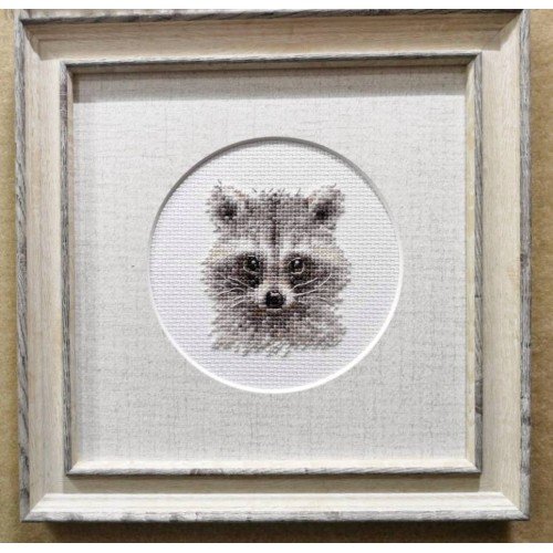 Alisa - Animal portraits. Raccoon