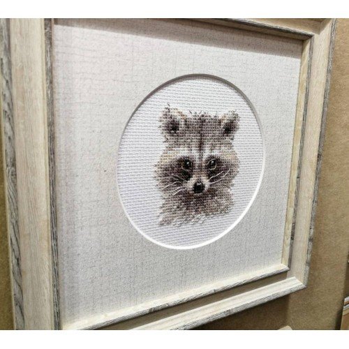 Alisa - Animal portraits. Raccoon