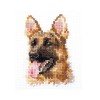 Alisa - Animal portraits. Shepherd
