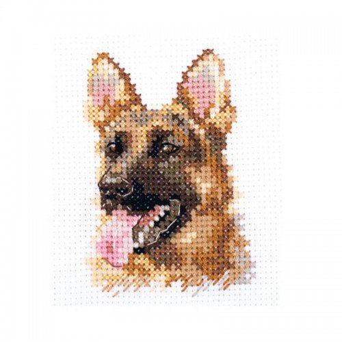 Alisa - Animal portraits. Shepherd