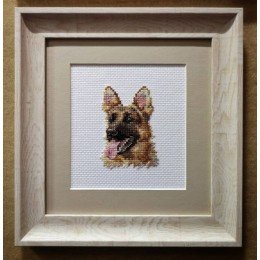 Alisa - Animal portraits. Shepherd