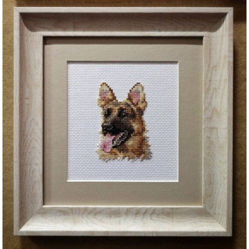 Alisa - Animal portraits. Shepherd