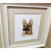 Alisa - Animal portraits. Shepherd