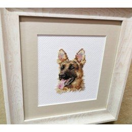 Alisa - Animal portraits. Shepherd