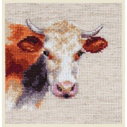Alisa - Cow
