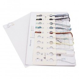 Alisa - Wind from the sea. Seagulls