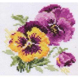 Alisa - Pansies
