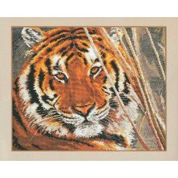 Alisa - Tiger
