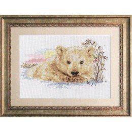 Alisa - Northern bear cub