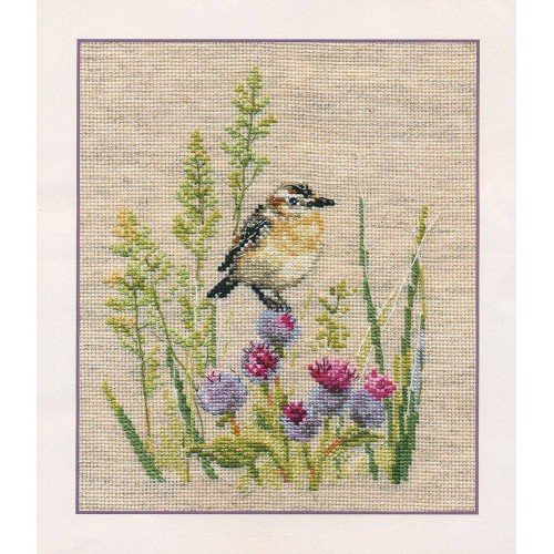 Alisa - Little bird