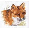 Alisa - Fox
