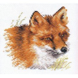 Alisa - Fox