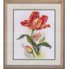 Alisa - Tulip and butterfly
