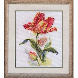 Alisa - Tulip and butterfly