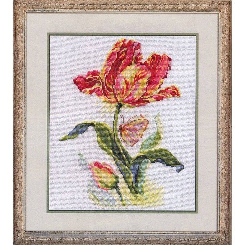 Alisa - Tulip and butterfly