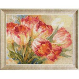 Alisa - Tulips