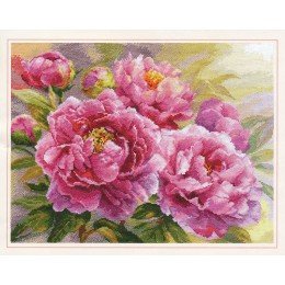 Alisa - Peonies