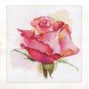 Alisa - El aliento de la rosa. Encanto