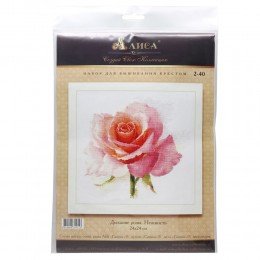 Alisa - Rose tenderness