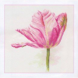 Alisa - Tulips. Light pink