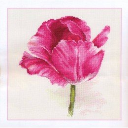 Alisa - Tulips. Crimson glow