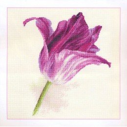 Alisa - Tulips. Lilac velvet