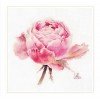 Alisa - Watercolor roses. Pink exquisite