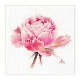 Alisa - Watercolor roses. Pink exquisite