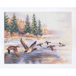 Alisa - Flying ducks