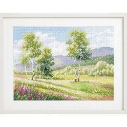 Alisa - Native spaces. Birch trees
