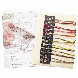 Alisa - Bird and an apple