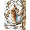 Andriana - Squirrel