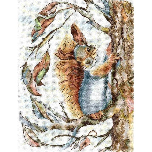 Andriana - Squirrel